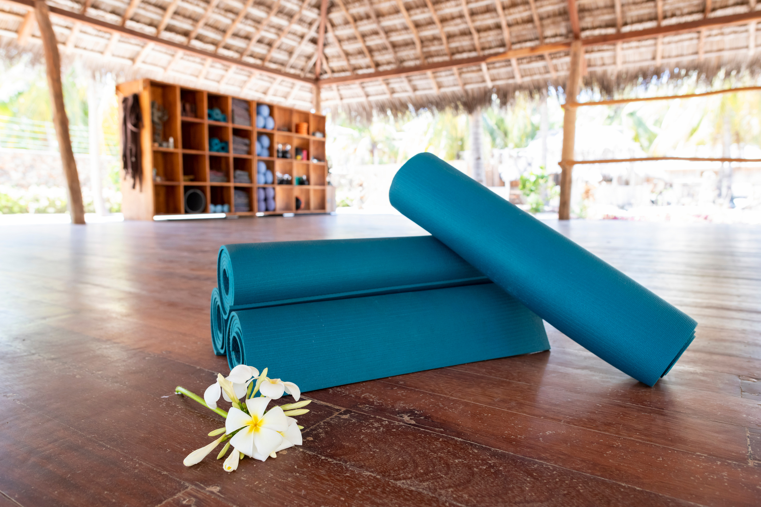 Island yoga retreat awaits you