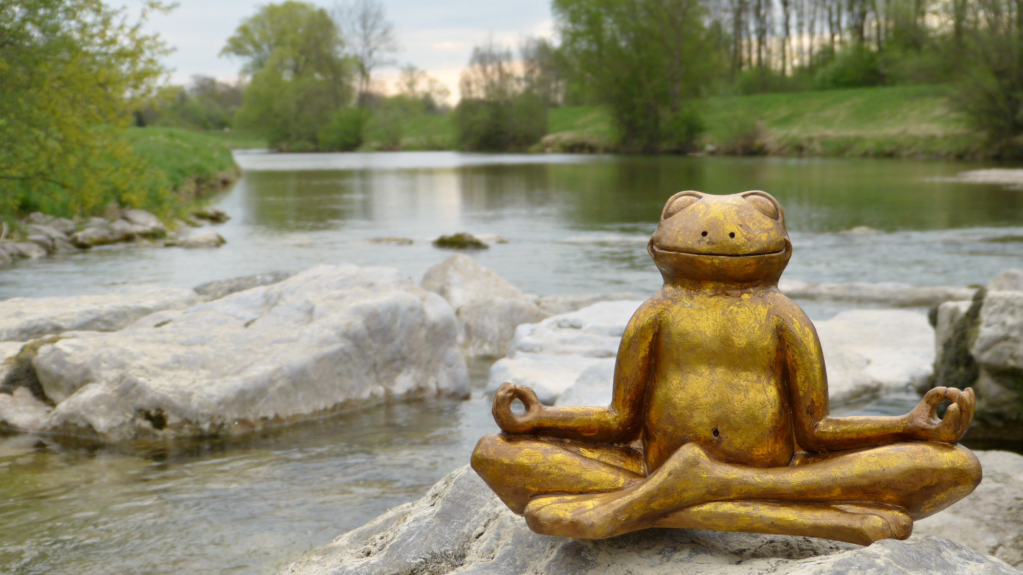 A Frog Statue